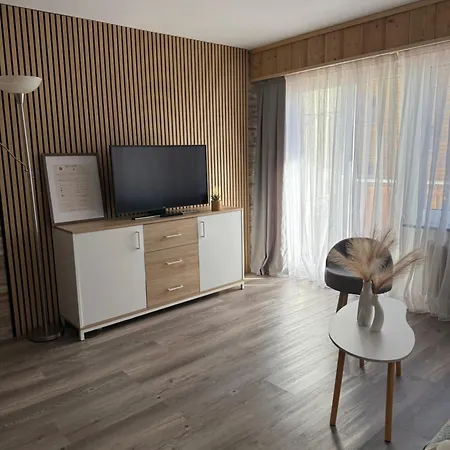 アパート Mountain Free Parking And Wifi Playroom ロイカーバード